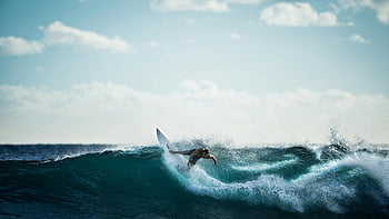 Surfen, Surfer, weißes Surfbrett, Wellen reiten, klarer Himmel, Action-Schuss, Ozean, spannend, Wassersport, Welle, Strandaktivität