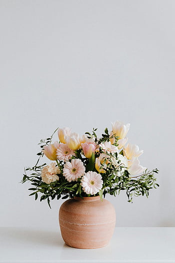 Vase mit Blumenstrauß, pinke Blumen, Terrakotta-Vase, Blumengesteck, schöne Blumen, einfacher Hintergrund, weißer Hintergrund, Dekorative Vase, Blumenvase, Indoor Blumen, Pastellblumen