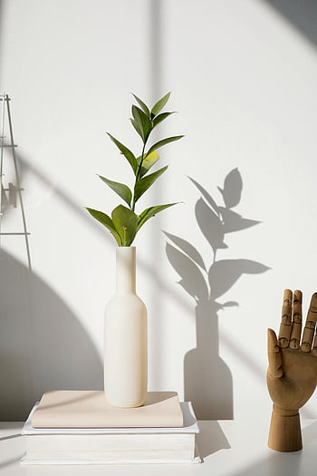 grüne Pflanze, weiße Keramikvase, Minimalistische Vase, Buchstapel, Holzhandskulptur, Schatten werfen, minimalistisches Dekor, Zimmerpflanzen, weiße Vase, grüne Blätter, natürliches Licht