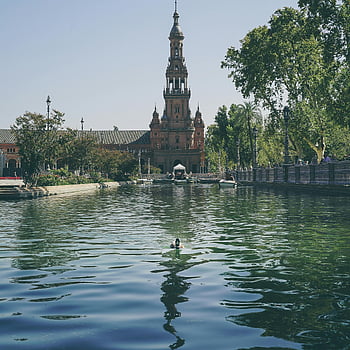 plaza de espana, seville, Mírový kanál, svěží zeleň, hnědá kachna, nádherný výhled, historické architektury, Španělská památka, klidná voda, městský park, evropské cestování