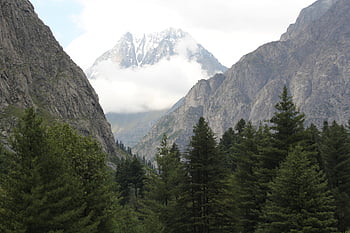 kumrat, jihazabanda, Pakistan, dir, Natur, Schönheit