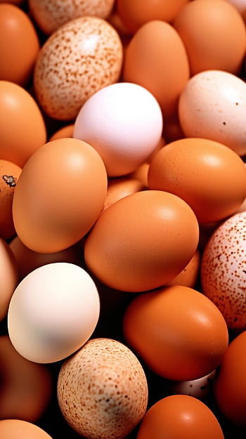 jídlo, vejce, kuřecí vejce, čerstvý, snídaně, organický, přísada, zdravý, protein, lepenková krabice, box
