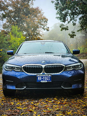 BMW 3 Series, rainy autumn day, colorful autumn scenery, luxury car, Texas license plate, MR YOGI, wet leaves, front view, car photography, outdoor setting, rainy weather