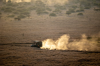 safari, adventure, transportation, sand, jeep, offroad, travel, auto, driving, vehicle, road