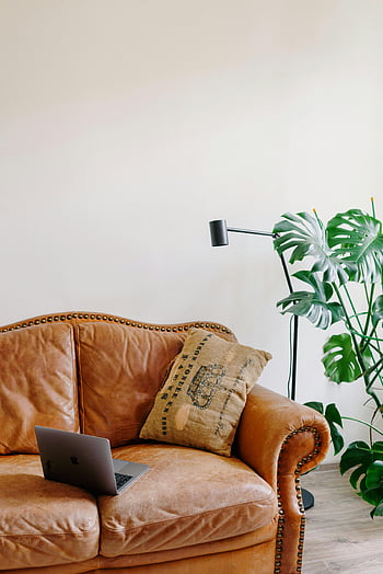 Gemütliches Sofa, Laptop, grüne Pflanze, Braune Ledercouch, Wohnzimmer, moderne Ästhetik, Wohnkultur, Bequeme Couch, Zimmerpflanzen, gemütliches zu Hause, modernes Wohnzimmer