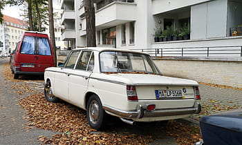 bmw, 1800, klasyczny samochód, staromodny samochód, biały samochód, zaparkowany samochód, jesienne liście, scena uliczna, europejski samochód, tablica rejestracyjna, miejskie ustawienie