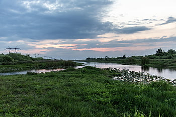 florida, nature, water, everglades, scenic, landscape, clouds, sky