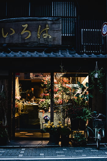Negozio di fiori di Kyoto, piante vibranti, segnaletica tradizionale, accogliente vetrina, fiorista giapponese, illuminazione notturna, fiori urbani, esposizione del negozio, arredamento culturale, bicicletta parcheggiata, vista stradale