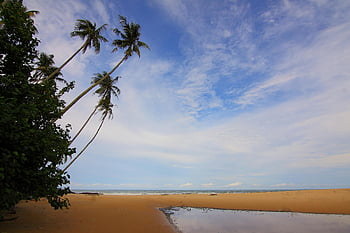 tropikalna plaża, palmy kokosowe, niebieskie niebo, letni wypad, piękny widok, Plaża w ciągu dnia, jasne błękitne niebo, piaszczysta plaża, widok na ocean, miejsce wypoczynku, tropikalny raj