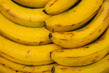 kypsiä banaaneja, tahrat kuoressa, lähikuva, keltaiset banaanit, kaareva kuvio, banaanipukki, hedelmä tausta, banaanin rakenne, banaaninkuori, banaani lähikuva, banaanijärjestely
